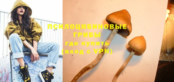 мдма Пролетарск