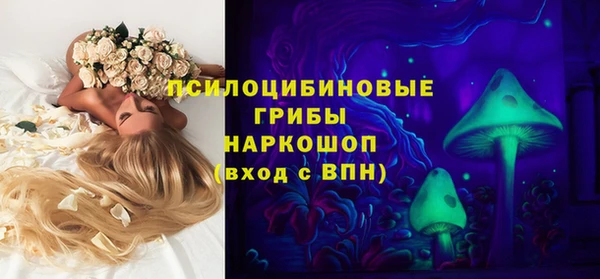 дживик Волоколамск
