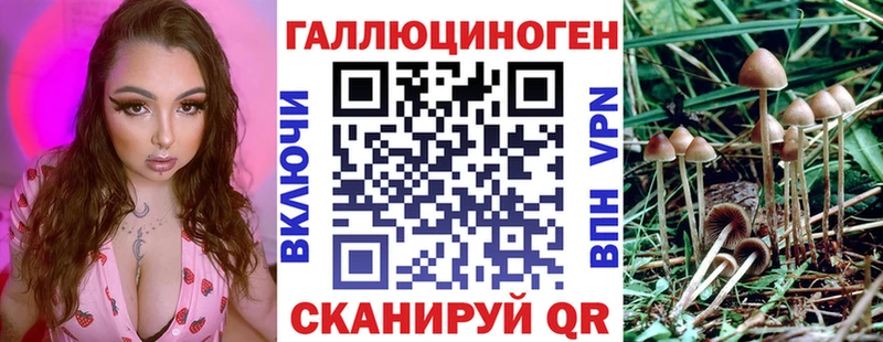 Галлюциногенные грибы Cubensis  Славянск-на-Кубани 